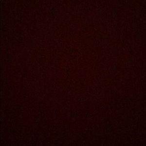 Meet your Posher, Lilly